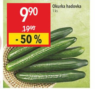 Okurka hadovka