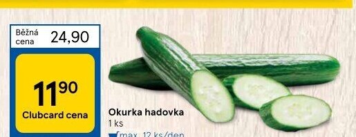 Okurka hadovka