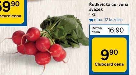 Ředkvičky svazek