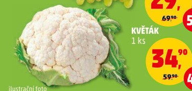 Květák