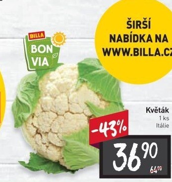 Květák Billa Bonvia