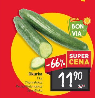Okurka hadovka Billa Bonvia
