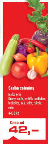 Brokolice sazenice