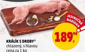 Králík