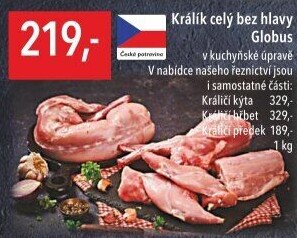 Králík Globus
