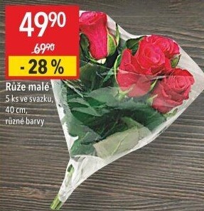 Řezané růže