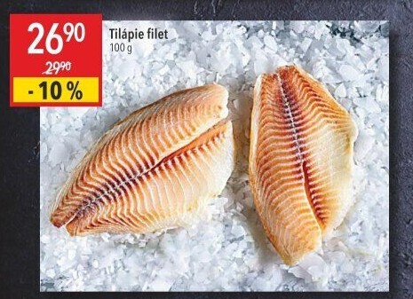 Tilápie filety