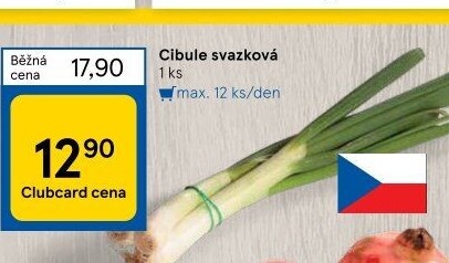 Jarní cibule svazek
