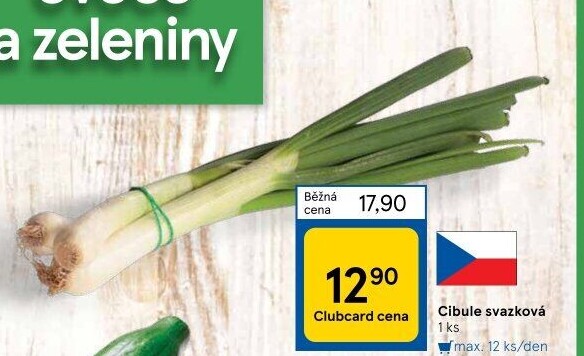 Jarní cibule svazek