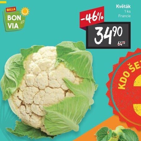 Květák Billa Bonvia