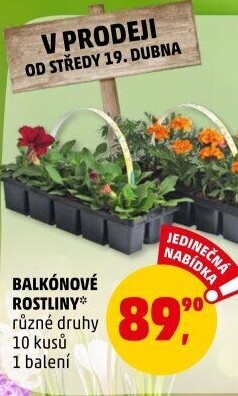 Balkonové rostliny