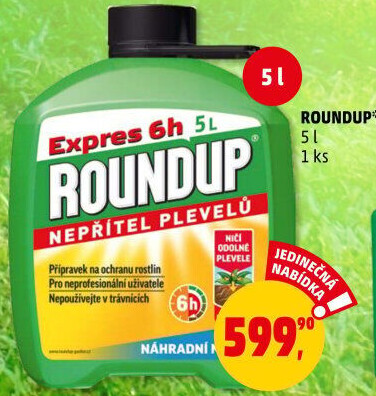 Herbicid Roundup Expres