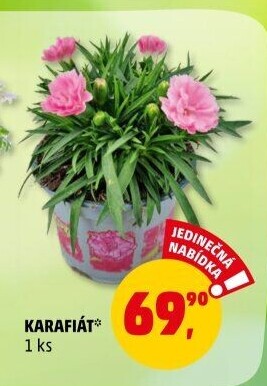 Karafiát