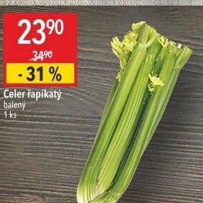 Celer řapíkatý
