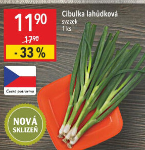 Jarní cibule svazek