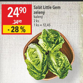 Salát little gem