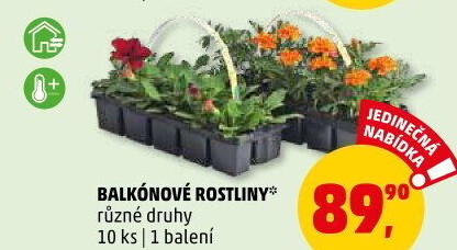 Balkonové rostliny
