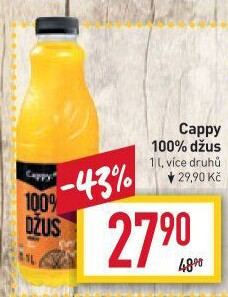 Džus Cappy