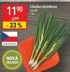 Jarní cibule svazek