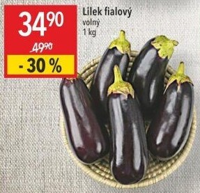 Lilek