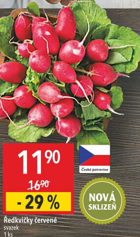 Ředkvičky svazek