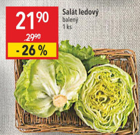 Salát ledový