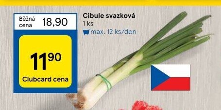 Jarní cibule svazek