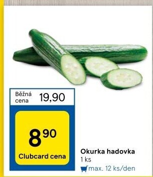 Okurka hadovka