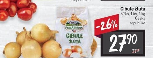 Cibule žlutá Česká Farma