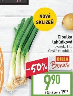 Jarní cibule svazek