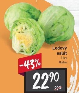 Salát ledový