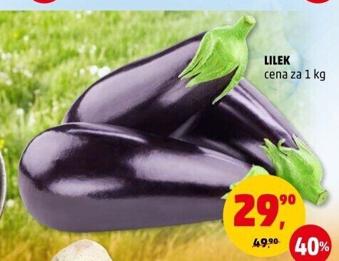 Lilek