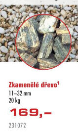 Zkamenělé dřevo