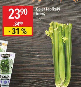 Celer řapíkatý