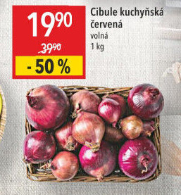 Cibule červená