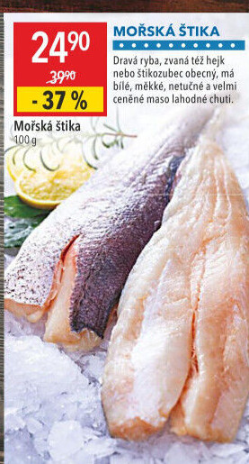 Štika mořská