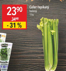 Celer řapíkatý
