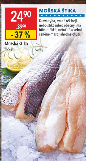 Štika mořská