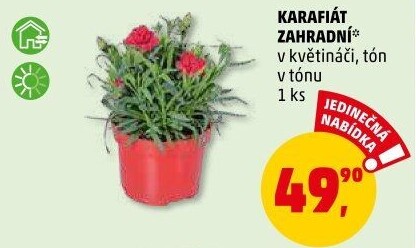 Karafiát