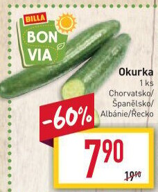 Okurka hadovka Billa Bonvia