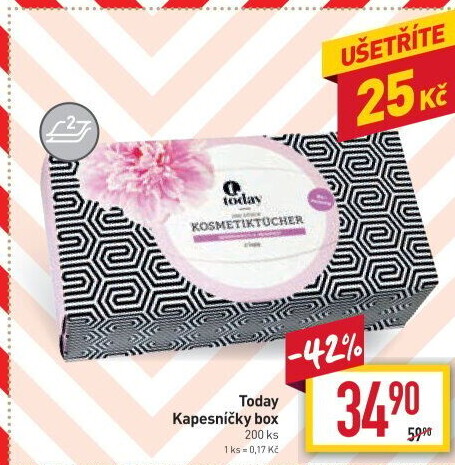 Papírové kapesníčky 2vrstvé Today - box