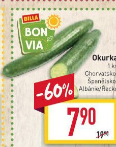 Okurka hadovka Billa Bonvia