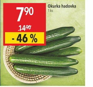 Okurka hadovka