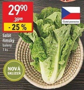 Salát římský