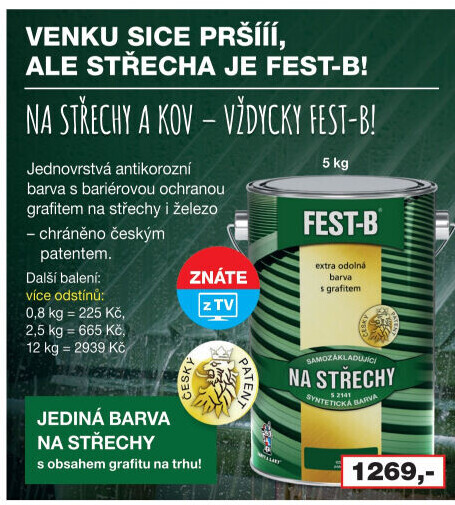 Nátěr na střechy i železo Fest - B 2v1