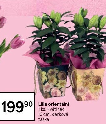 Lilie