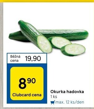 Okurka hadovka