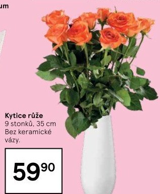 Řezané růže