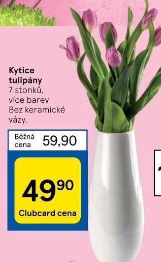 Řezané tulipány