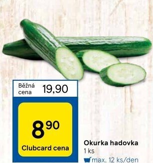 Okurka hadovka